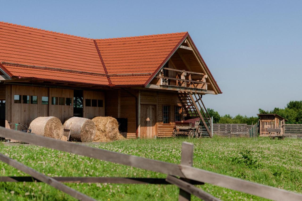 Frühstückspension Tourist Farm Firbas