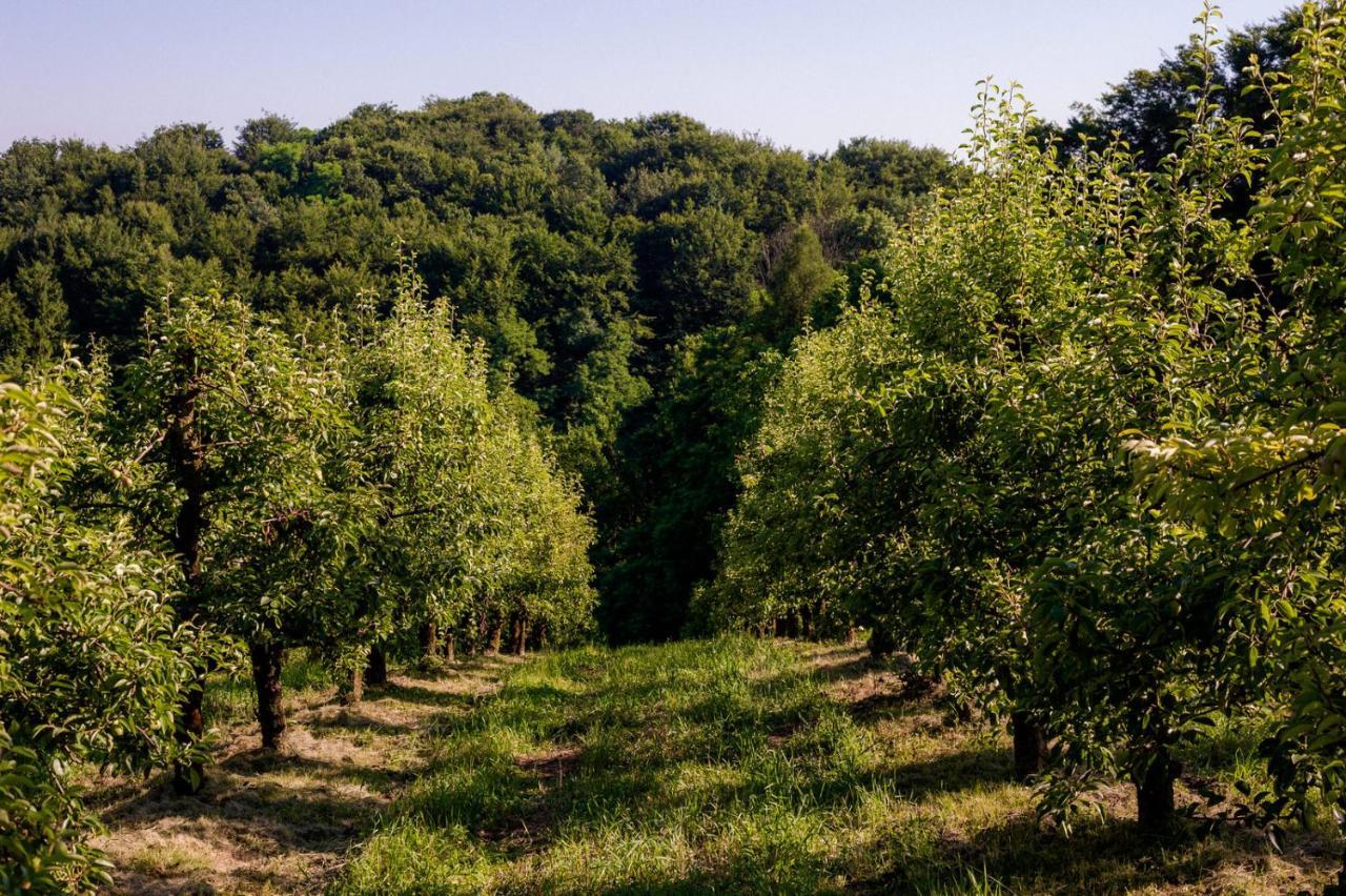 Tourist Farm Firbas Cerkvenjak