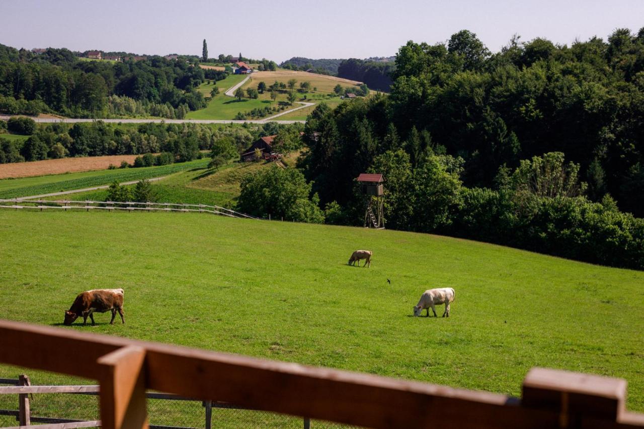 Frühstückspension Tourist Farm Firbas