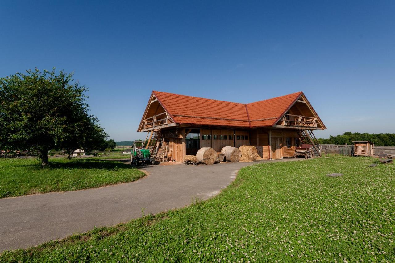 Tourist Farm Firbas Frühstückspension