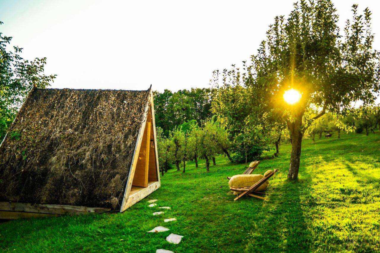 Tourist Farm Firbas Cerkvenjak